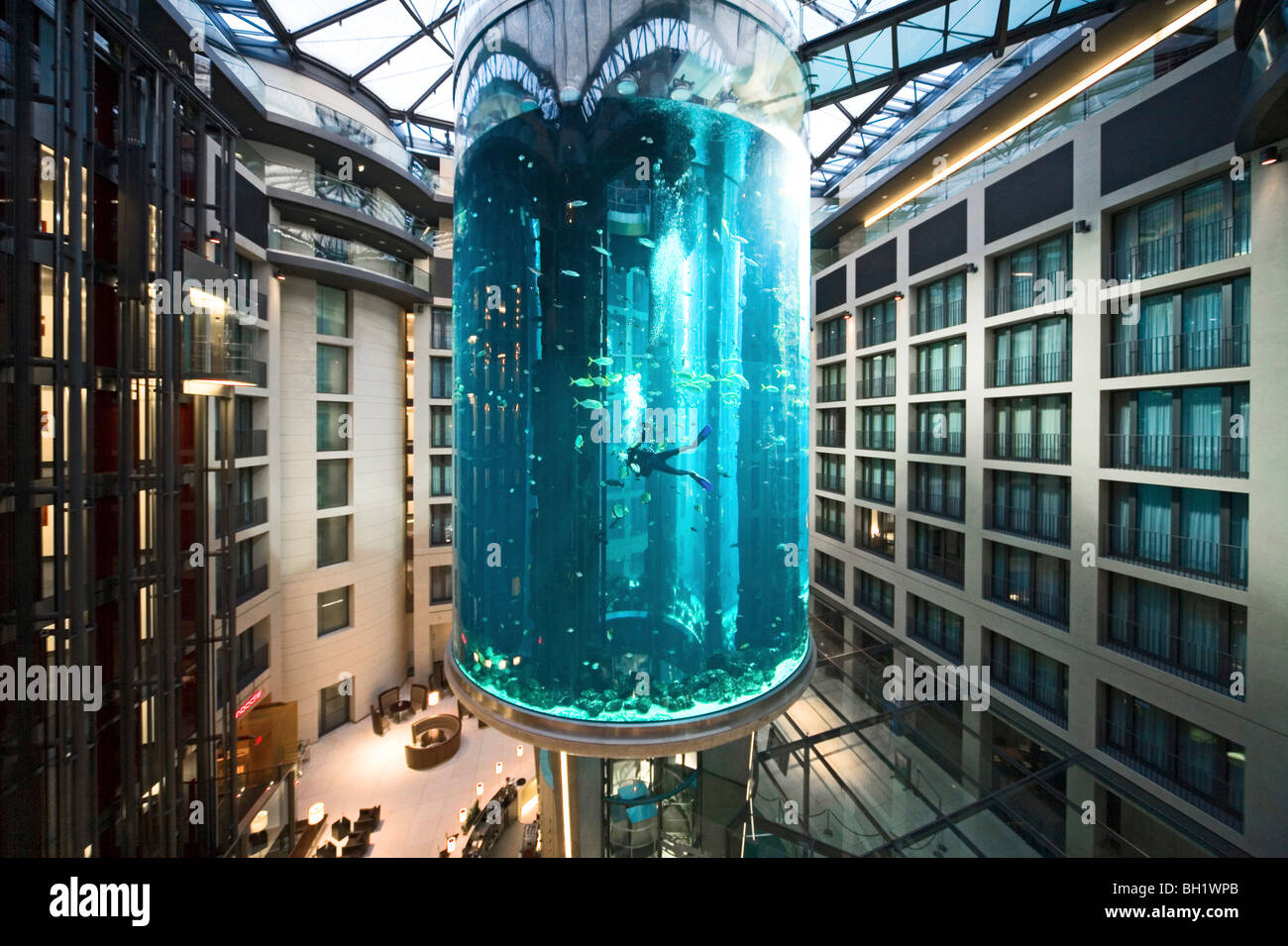 El hotel de 5 estrellas Radisson SAS Hotel alberga el acuario cilíndrico más grande del mundo. entrada de Aqua Dom, un buzo se limpia el depósito, Foto de stock
