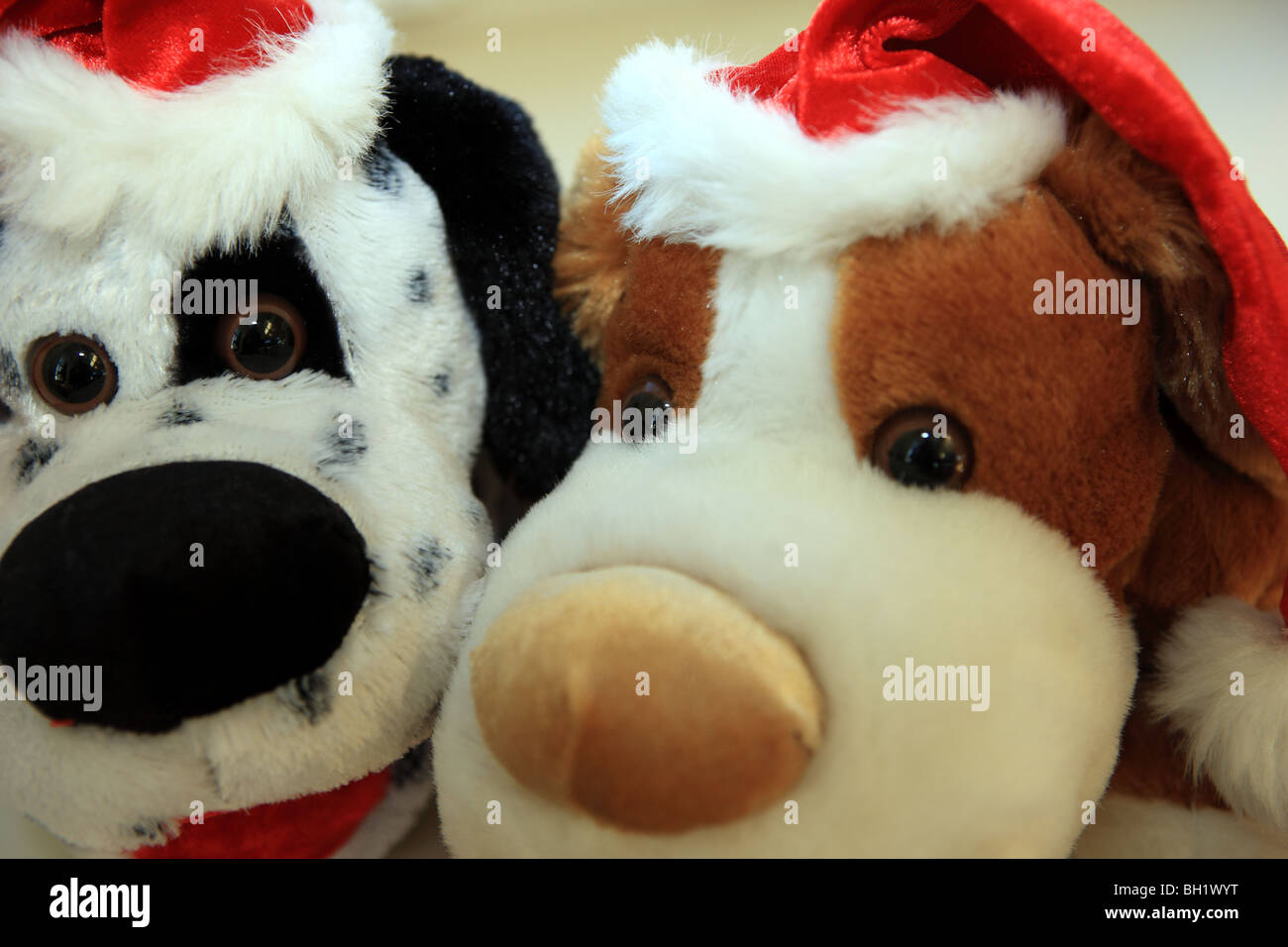 Juguetes peludos vestidos de rojo sombreros de Navidad Foto de stock
