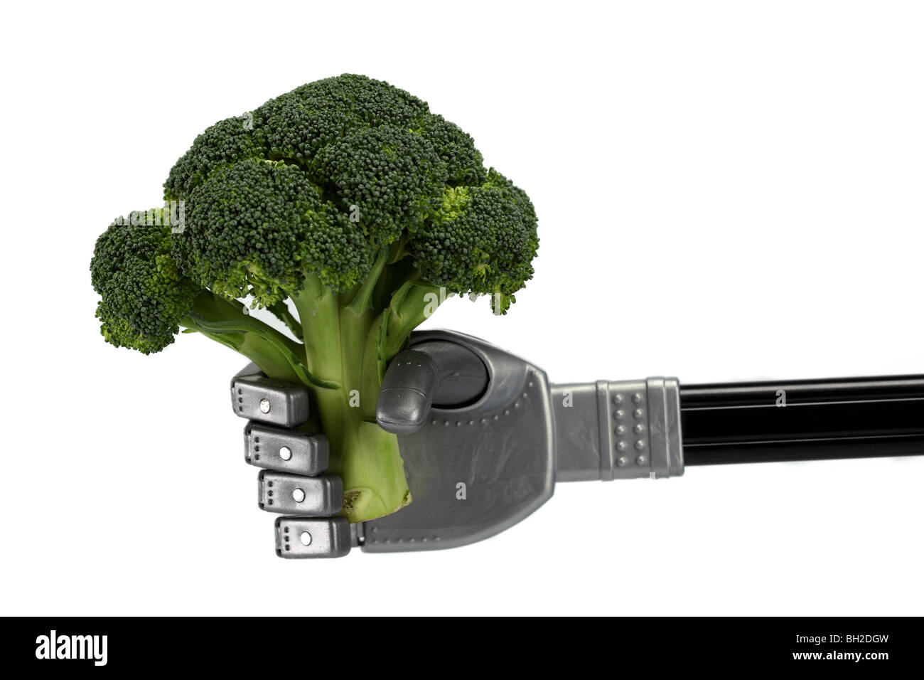Brócoli Robot agarrar comida mano brazo sujetador de dedos dedos sosteniendo delicado cuidado cuidadosamente la tecnología de máquinas industriales de la industria Foto de stock