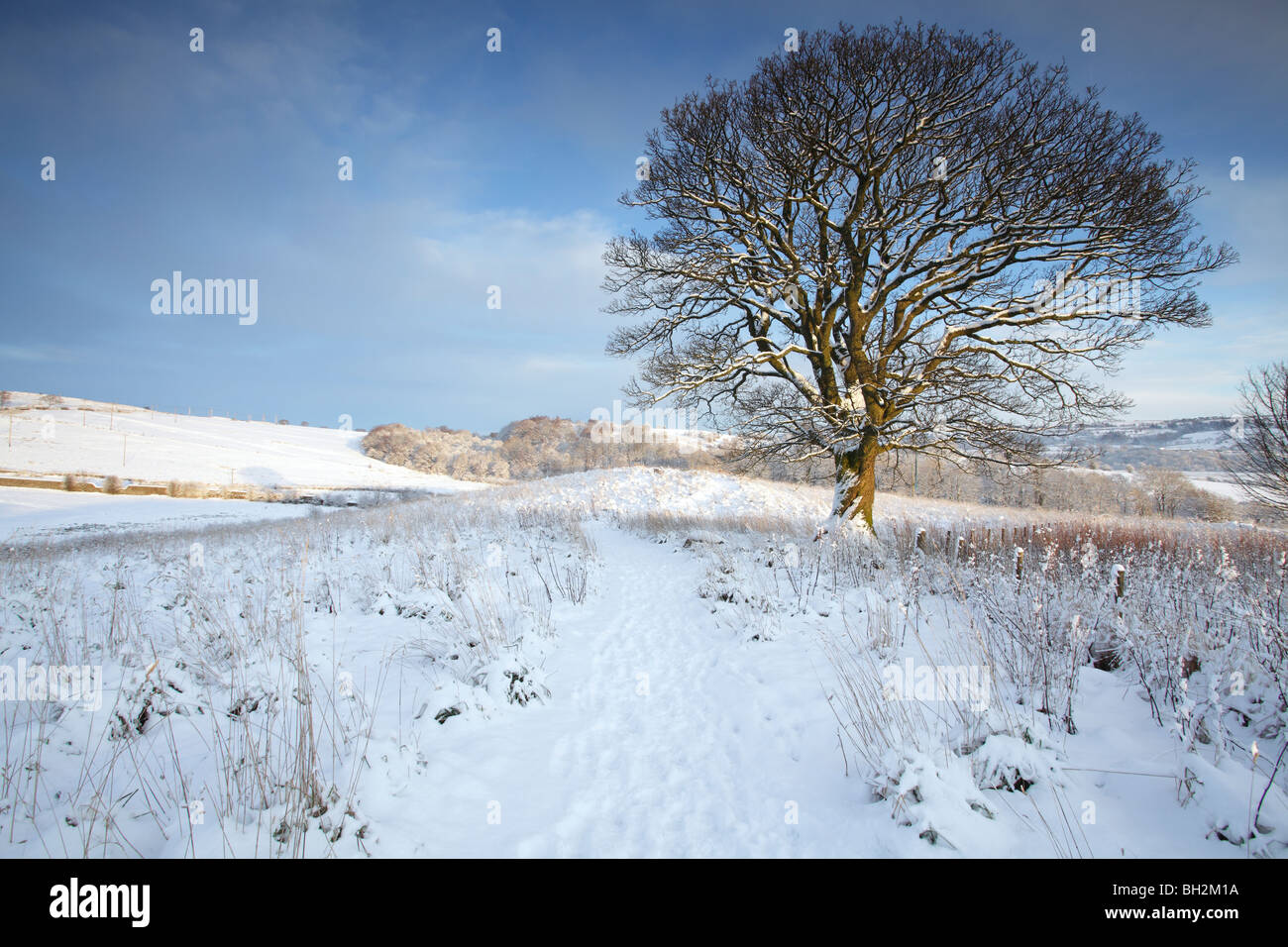 Bucle de johnshill fotografías e imágenes de alta resolución Alamy