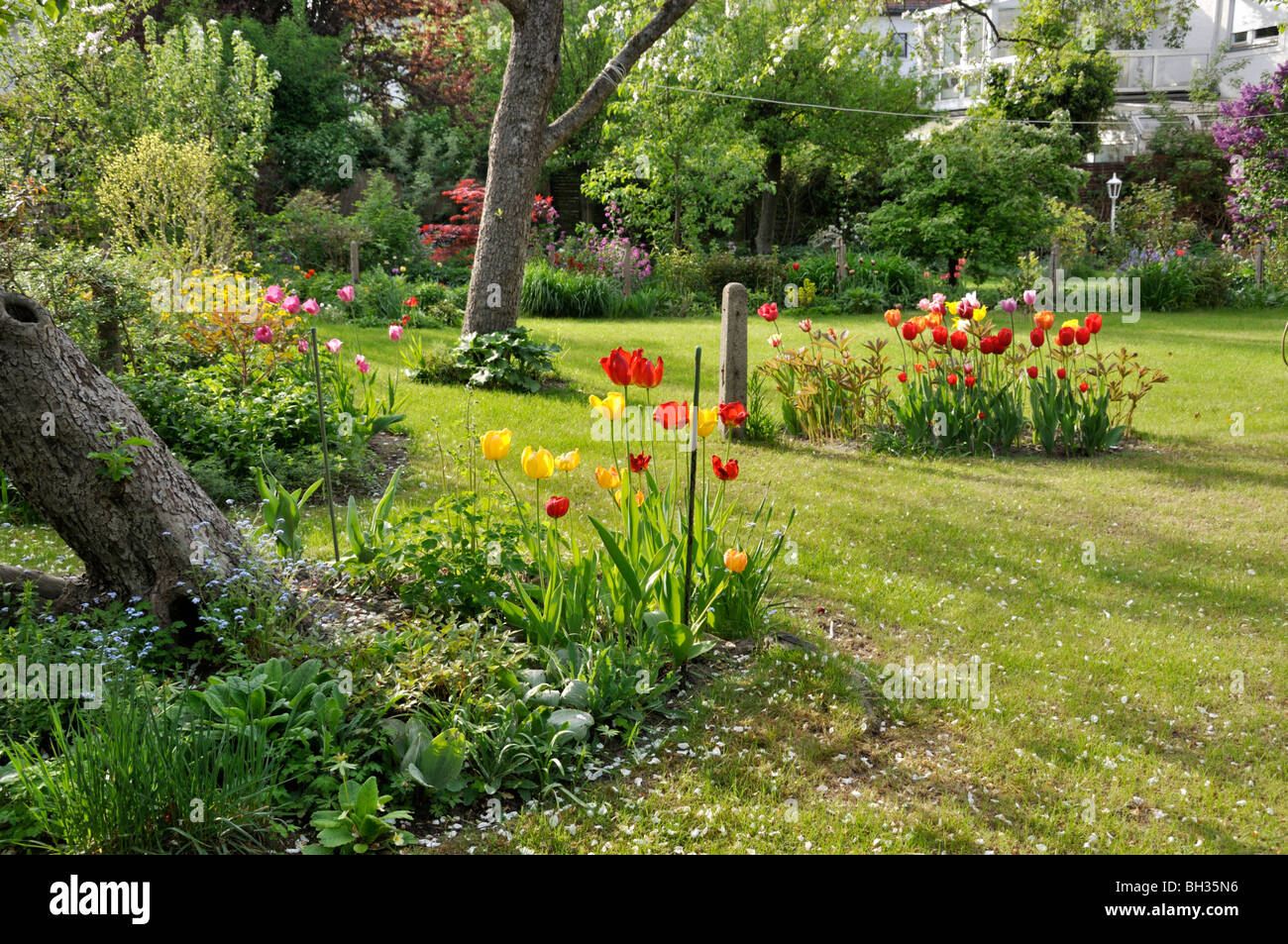 Fila casa jardín con césped y árboles frutales Foto de stock