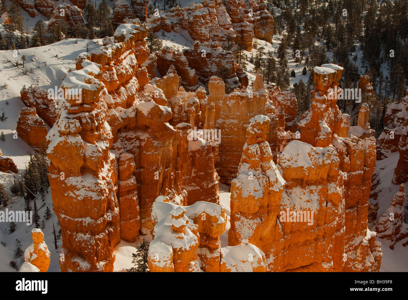 Hoodoos cubierto de nieve en Bryce Canyon National Park Foto de stock