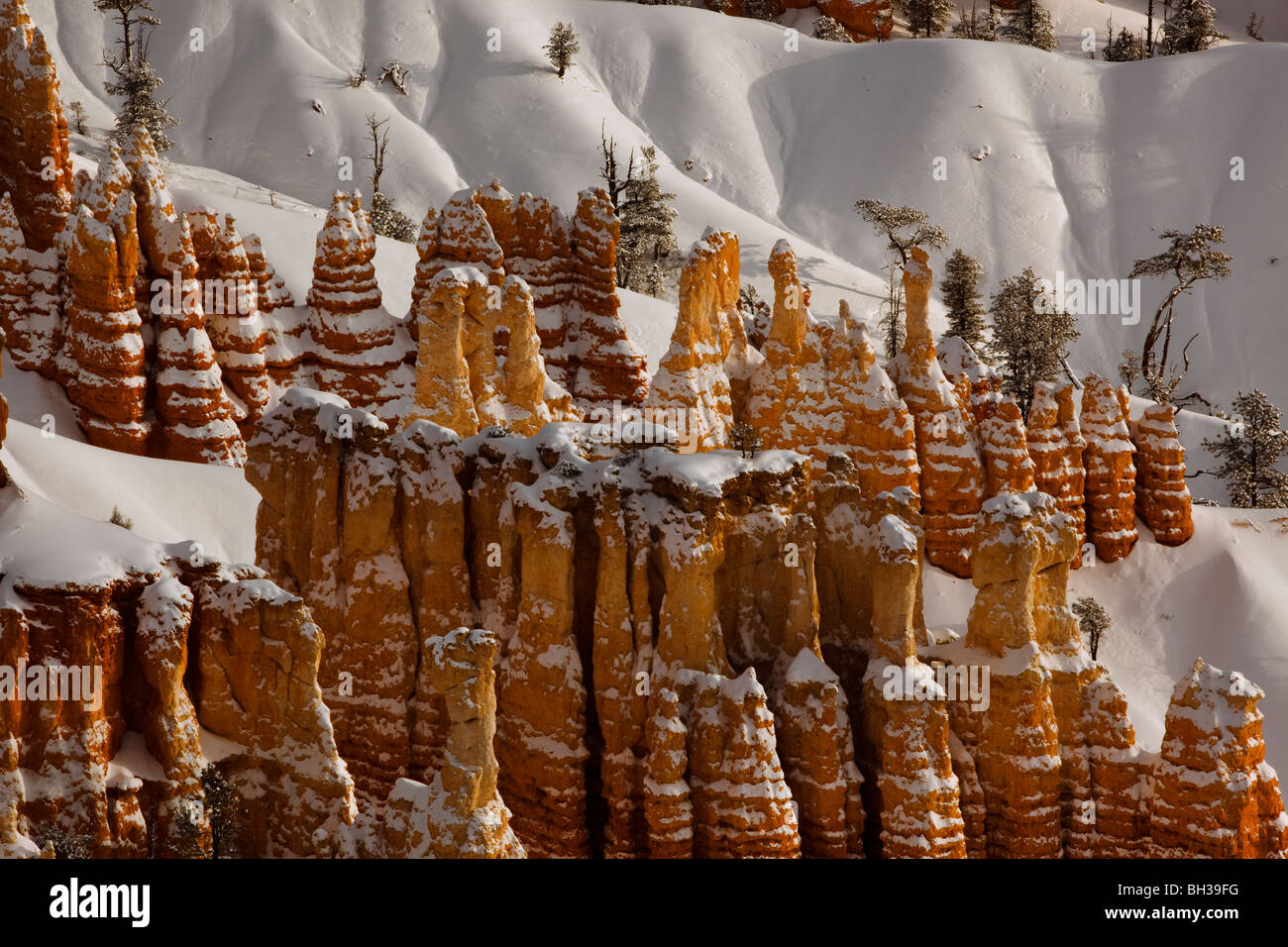 Hoodoos cubierto de nieve en Bryce Canyon National Park Foto de stock