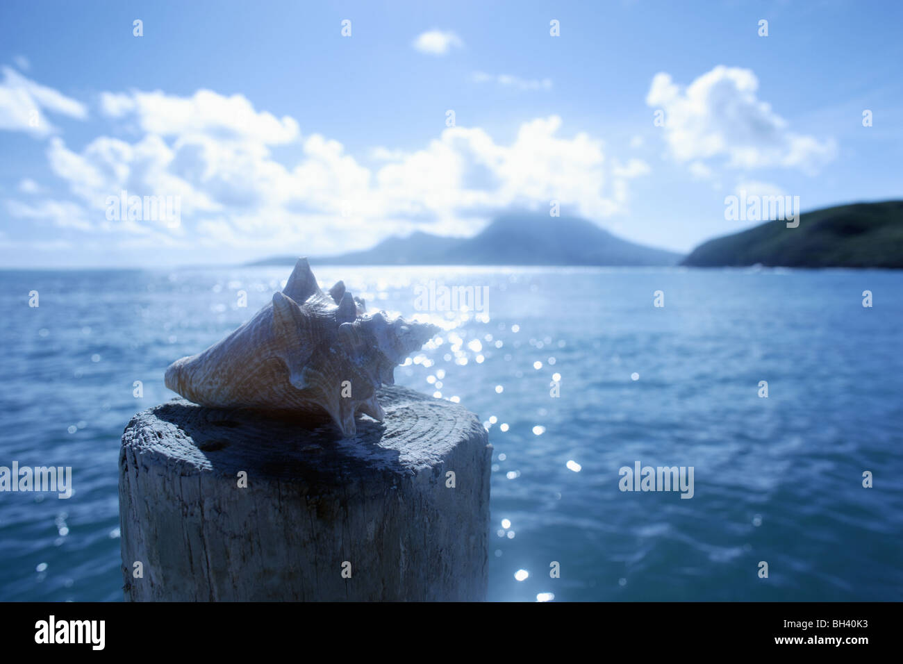 Una gran concha sobre un poste de madera contra el mar y el cielo Foto de stock