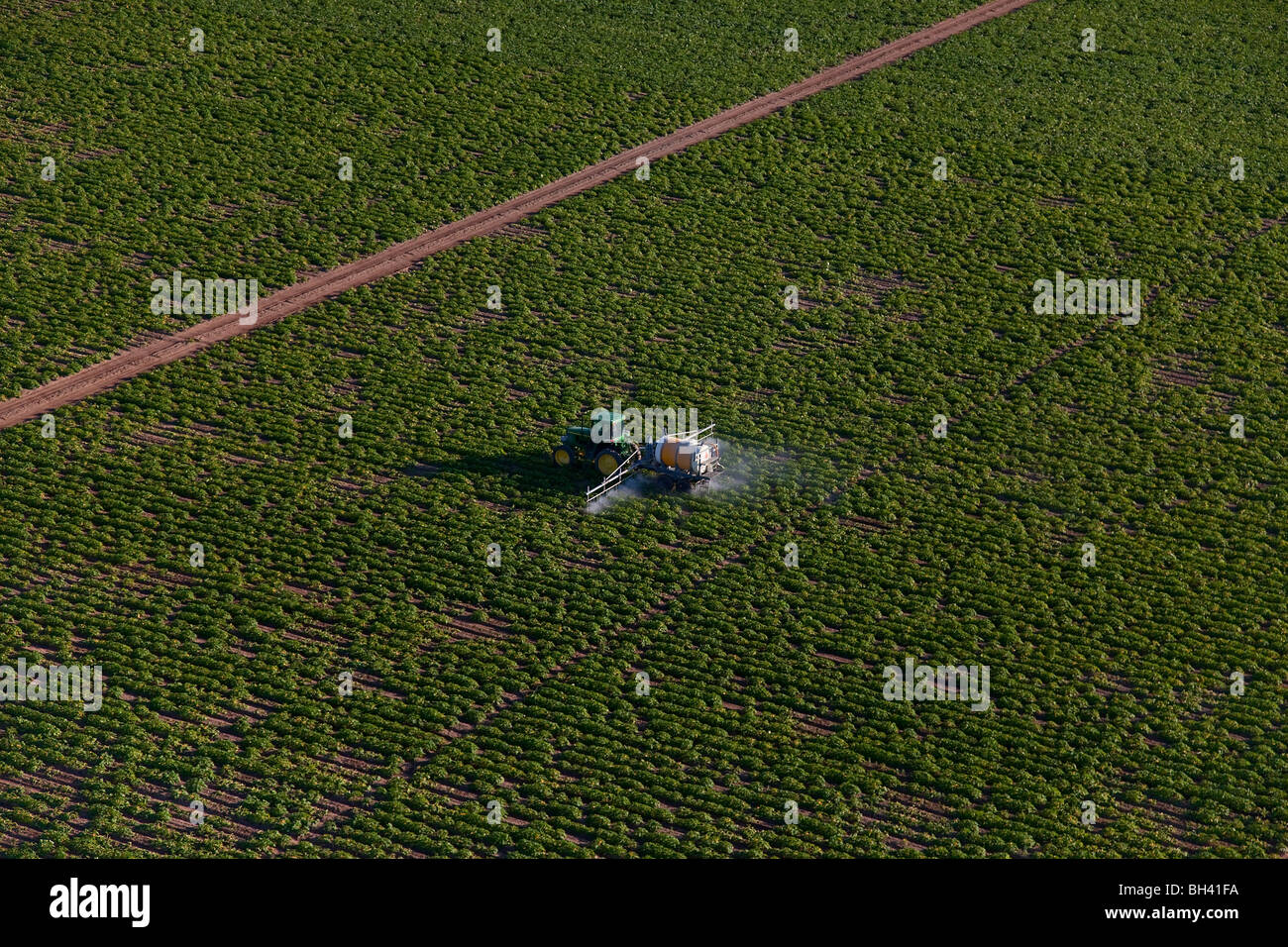 El amoníaco líquido de pulverización en cultivos; el sur de la Florida, la agricultura Foto de stock