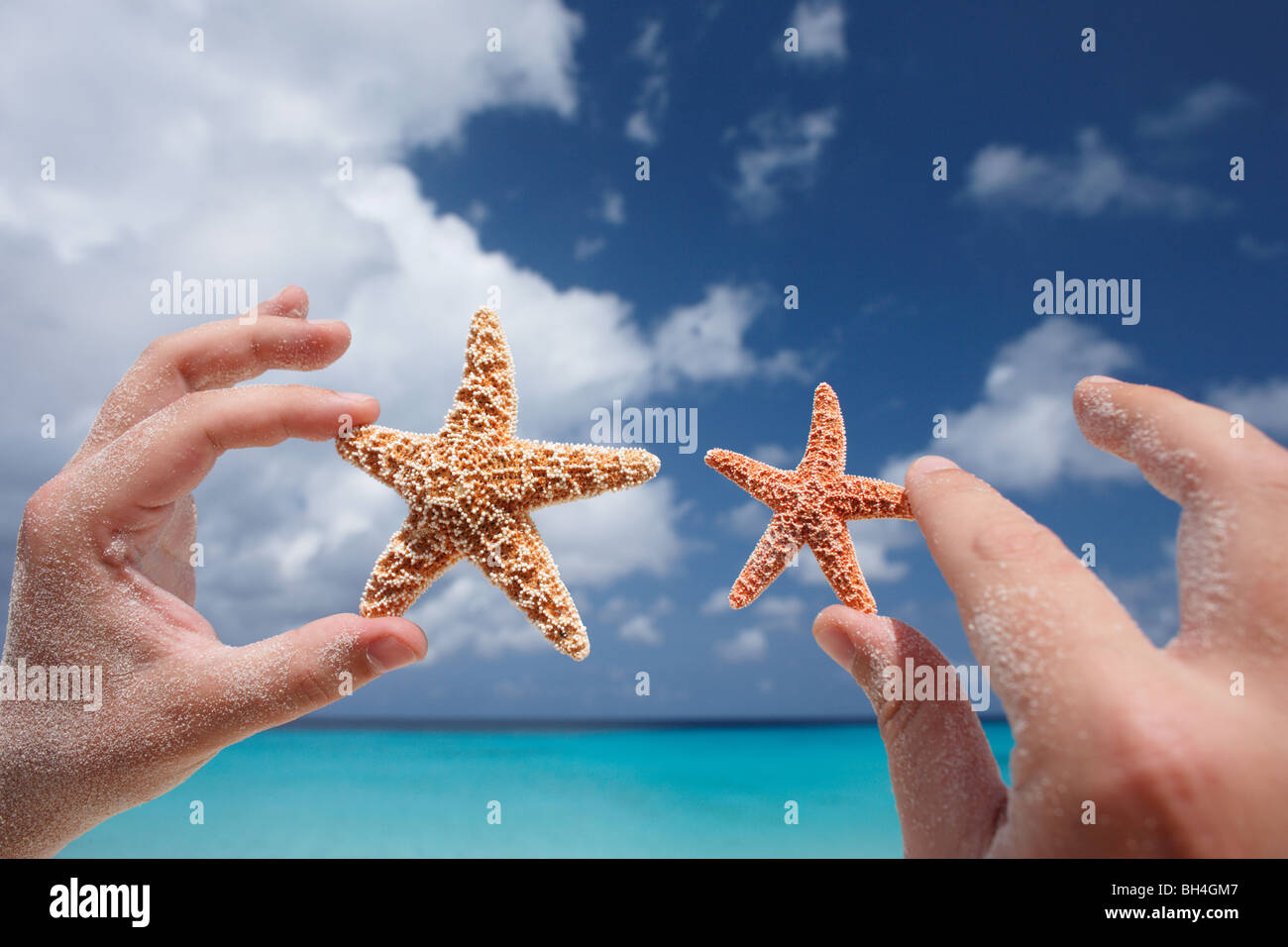 Un hombre de manos sosteniendo una grande y otra pequeña estrella de mar en el aire en una playa tropical Foto de stock
