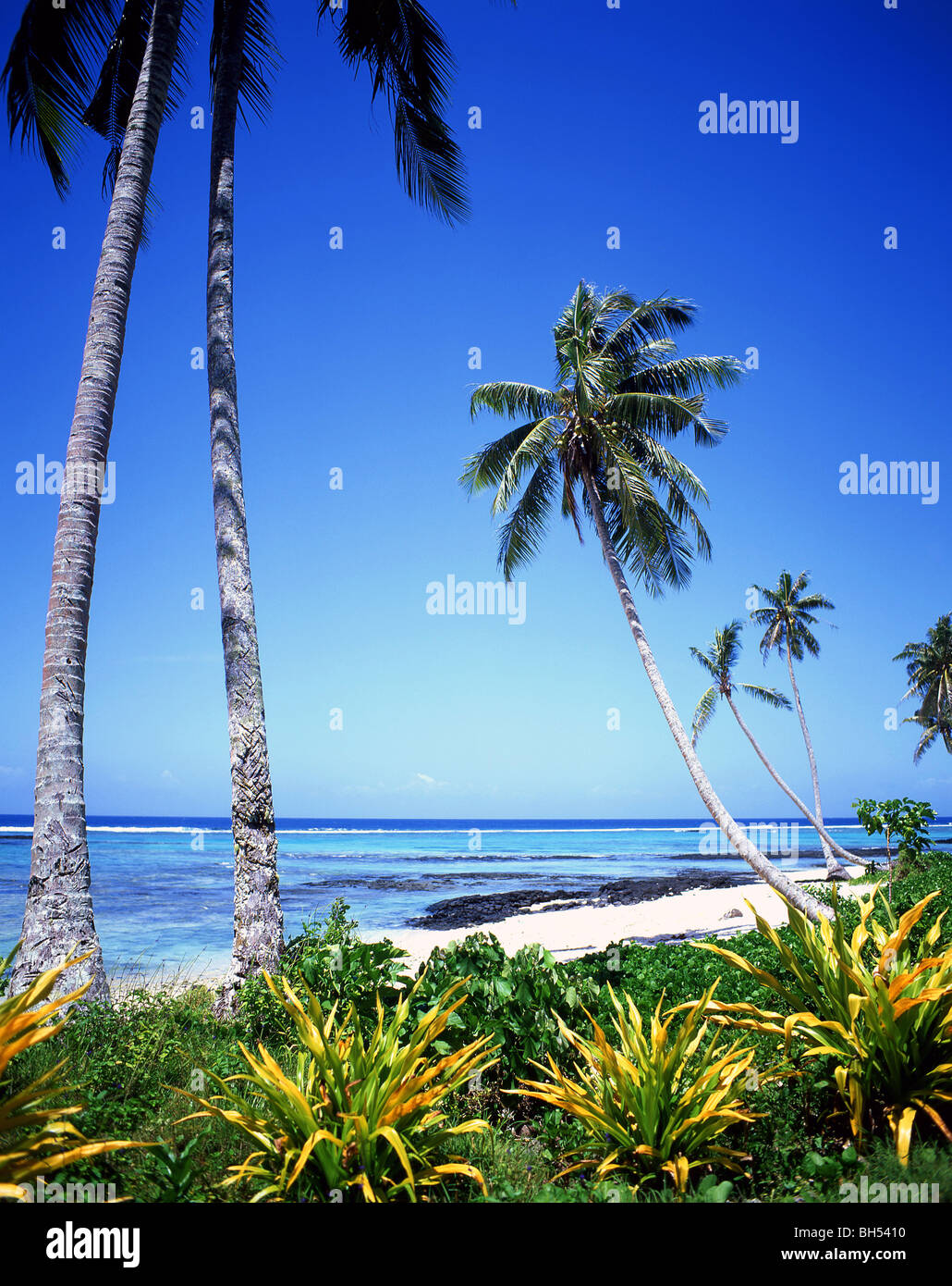 "Retorno al Paraíso" Lefaga Beach, isla de Upolu, Samoa Foto de stock