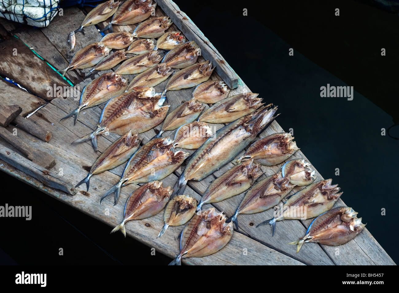 Secado de pescado en el barco de proa, Komodo Parque Marino, Indonesia Foto de stock