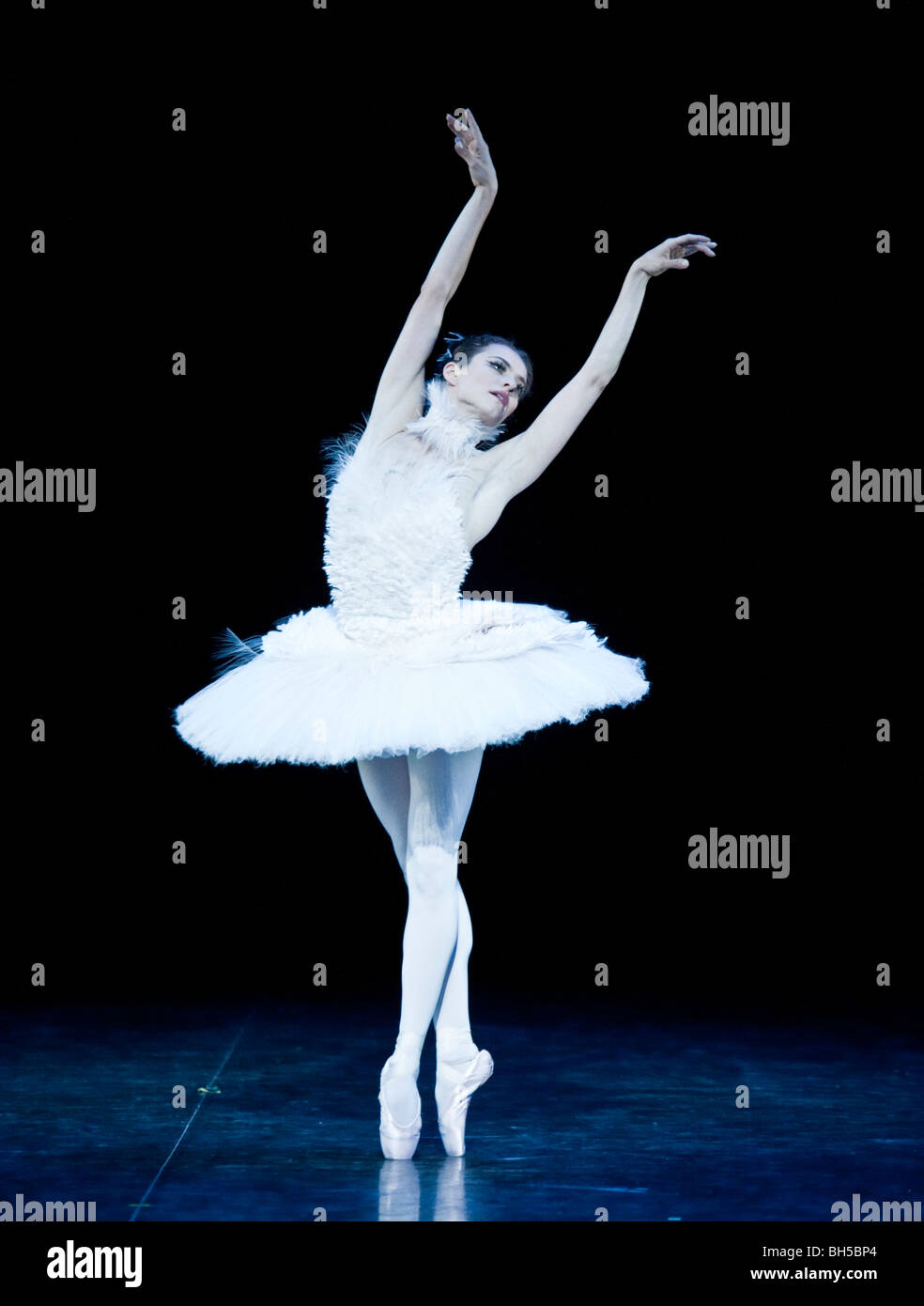 Niña Como Una Bailarina De Ballet En El Tutú Azul, Aislados En Fondo Blanco  Fotos, retratos, imágenes y fotografía de archivo libres de derecho. Image  16898266