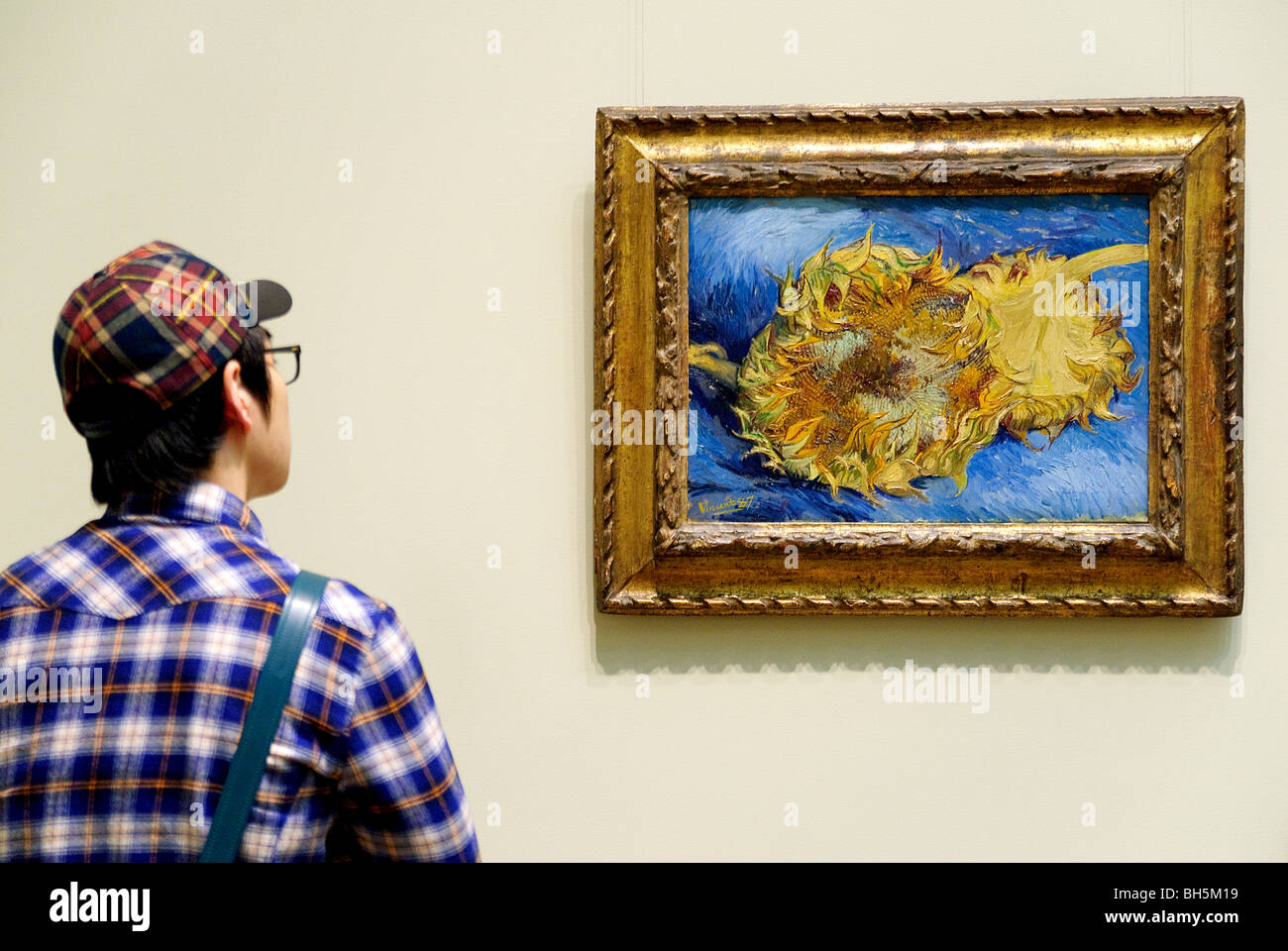 Los girasoles, 1887, de Vincent van Gogh (Holandés, 1853-1890), el Museo Metropolitano de Arte, la Galería de Arte Moderno, la ciudad de Nueva York Foto de stock