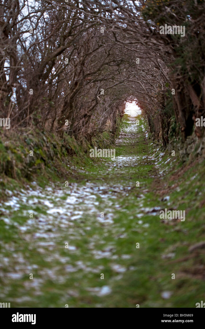 Vía túnel Ballynoe, Downpatrick. Foto de stock