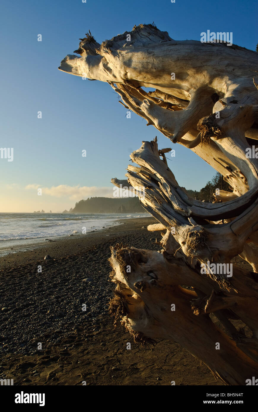 La playa de inserción, Olympic Peninsula en el estado de Washington Foto de stock