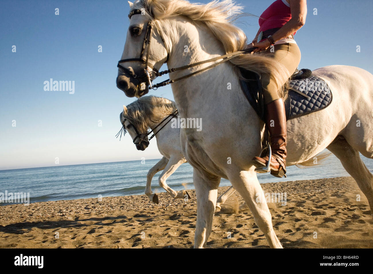 Dos mujeres a caballo en la playa Foto de stock
