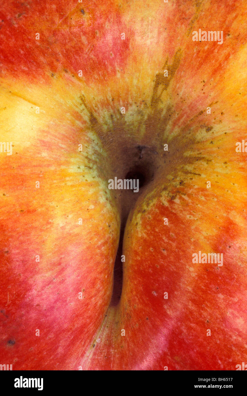 La Manzana, la fruta prohibida, DETALLE DEL FRUTO EN FORMA DE NALGAS Foto de stock