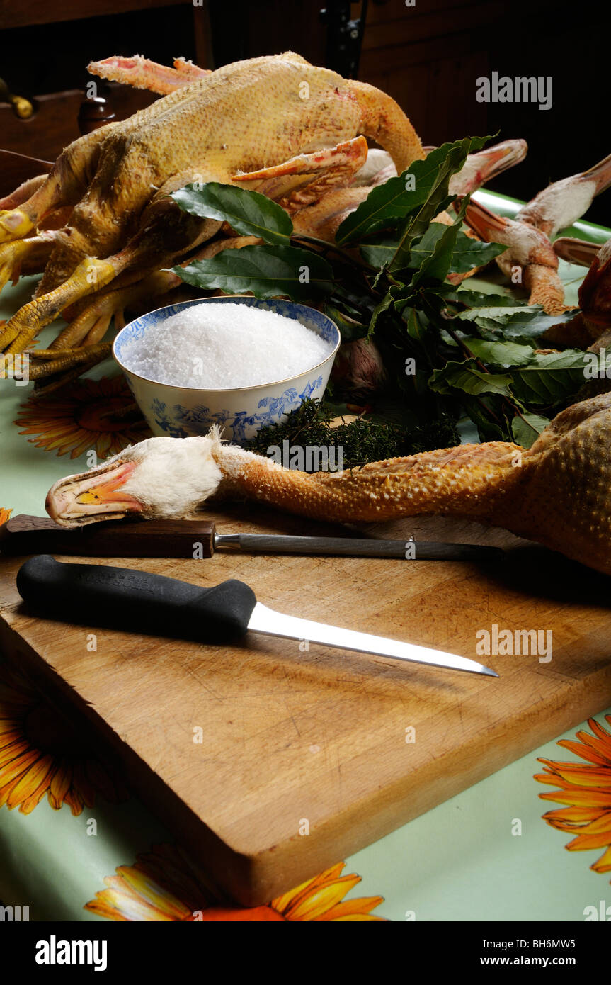 Stock photo de patos acostado sobre una mesa de cocina con sal y hojas de laurel listo para preparar en confit de canard. Foto de stock