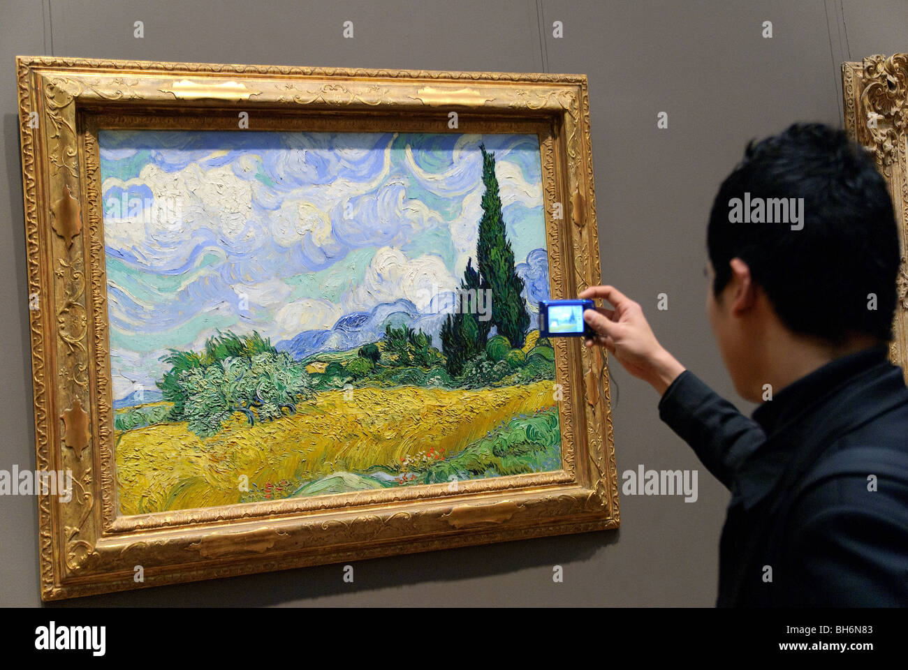 Campo de trigo con cipreses metropolitan museum of art Clearance