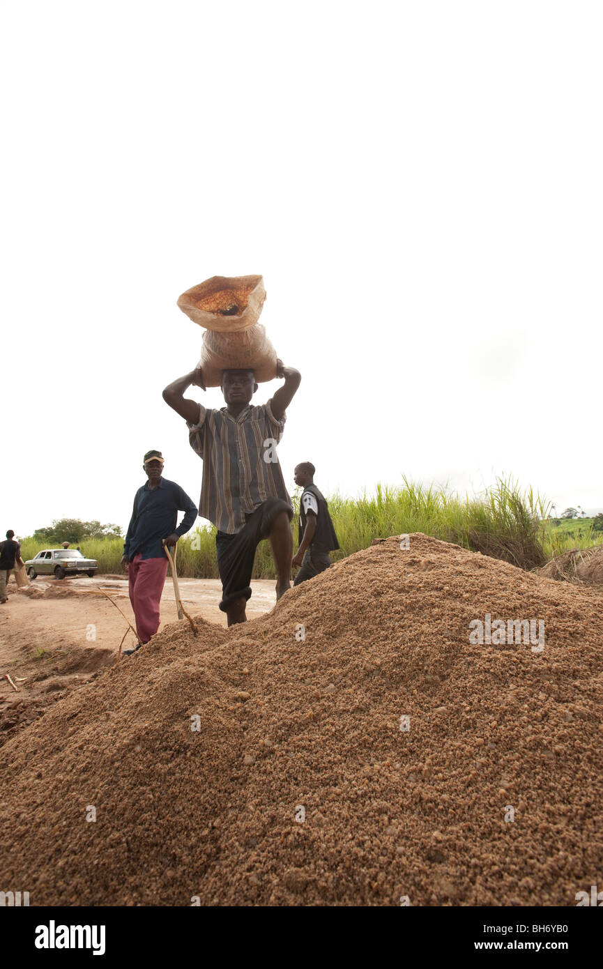 Los hombres entregando grava para minas de diamantes del distrito de Kono en Sierra Leona Foto de stock