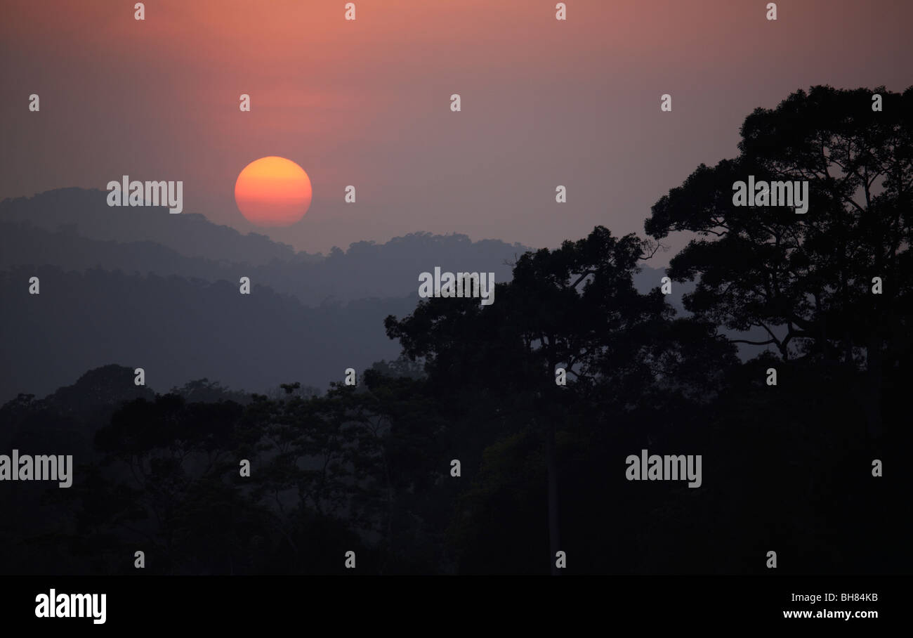 Jungle Sunset, Tailandia Foto de stock