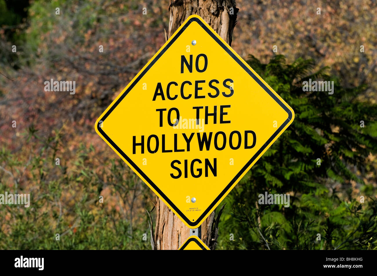 Calle signo de Hollywood, Los Ángeles, California, Estados Unidos. Foto de stock