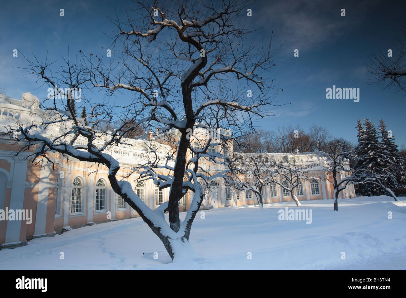 Invierno ruso. Peterhof. Petrodvorets. Jardines bajos de Petergof Foto de stock