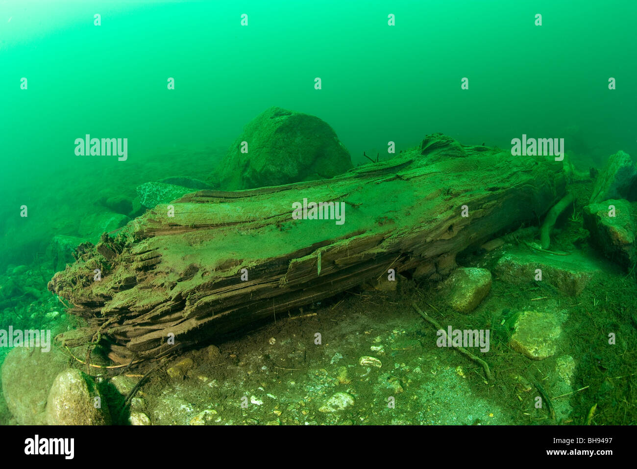 Registro de árbol en el Lago del Sambuco, Valle Lavizzara, Tesino, Suiza Foto de stock