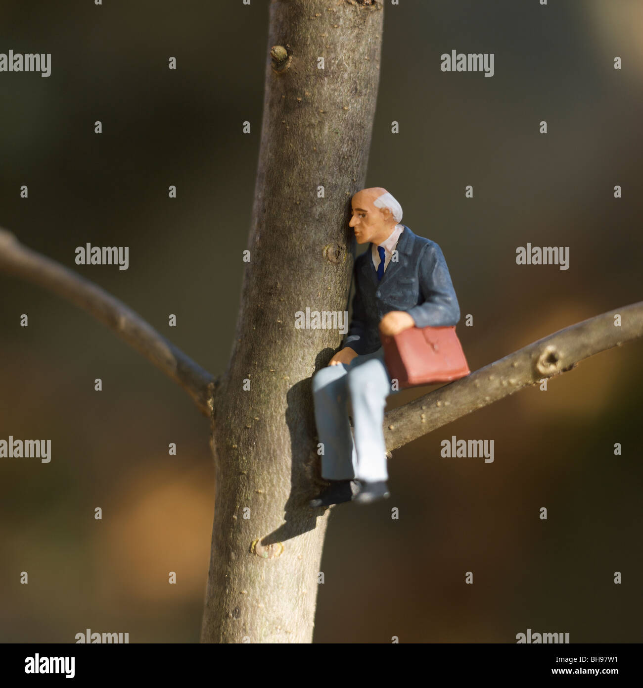 Abuelo, figurilla, sentado en una rama de árbol Foto de stock