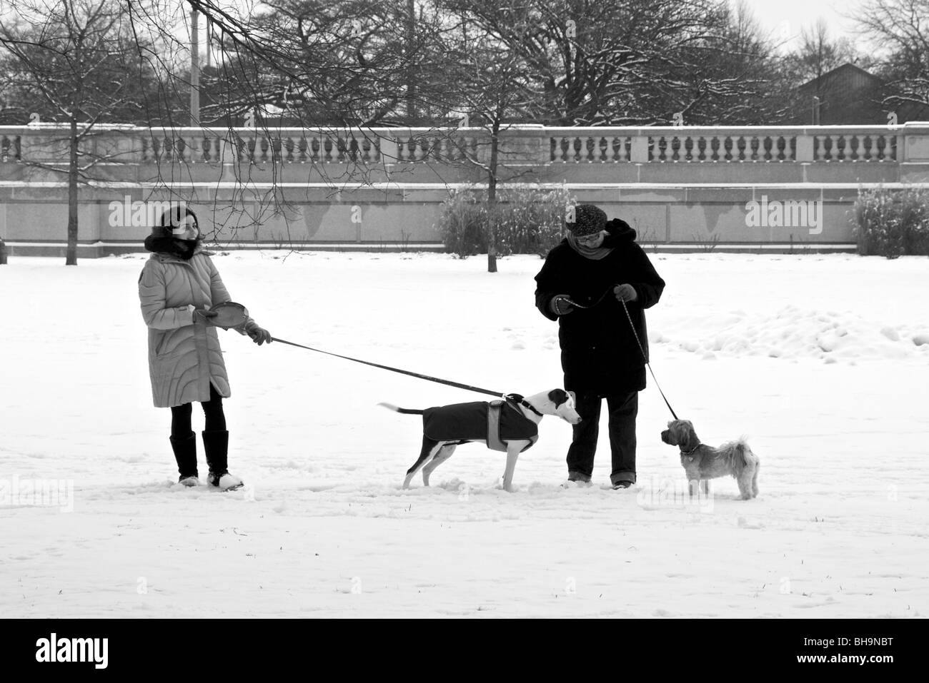 se permiten perros en grant park chicago