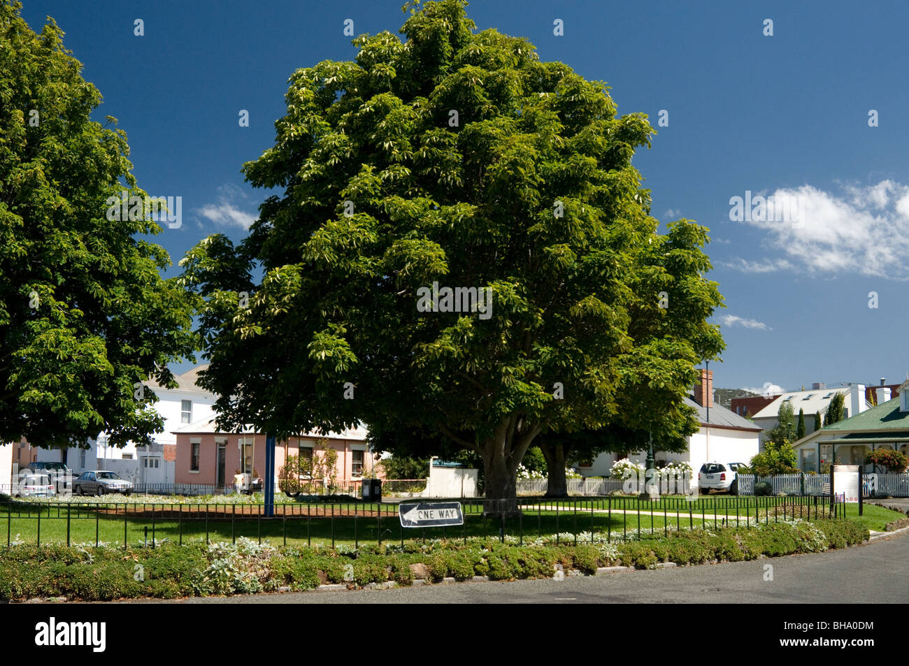 Casas de la época colonial de Arthur Circus, en Battery Point, Hobart