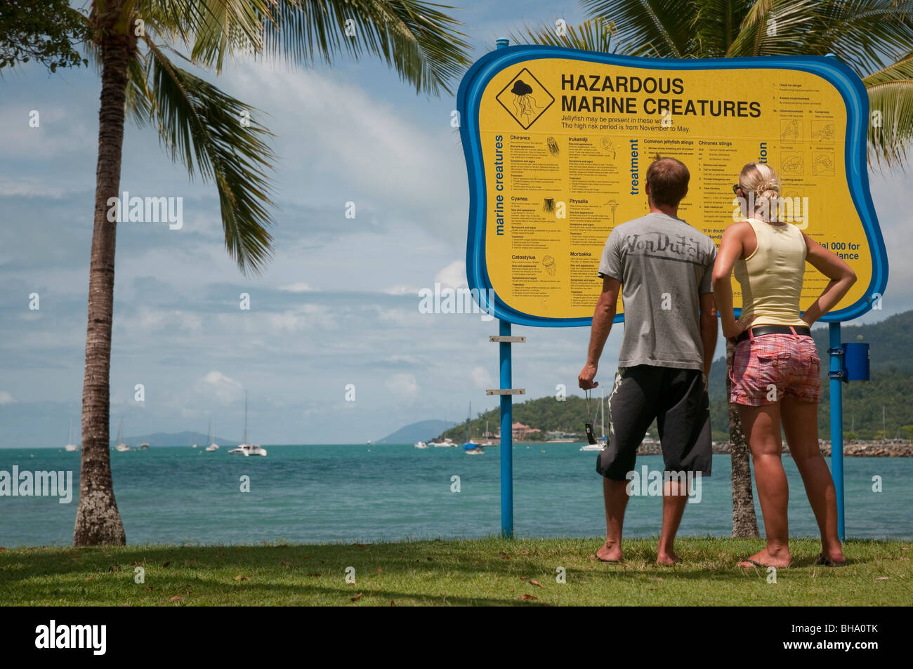 Turistas mirando peligrosa criatura marina advertencia en Airlie Beach en Queensland Foto de stock