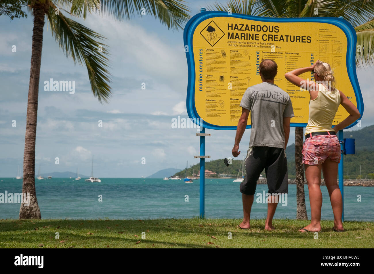 Turistas mirando peligrosa criatura marina advertencia en Airlie Beach en Queensland Foto de stock