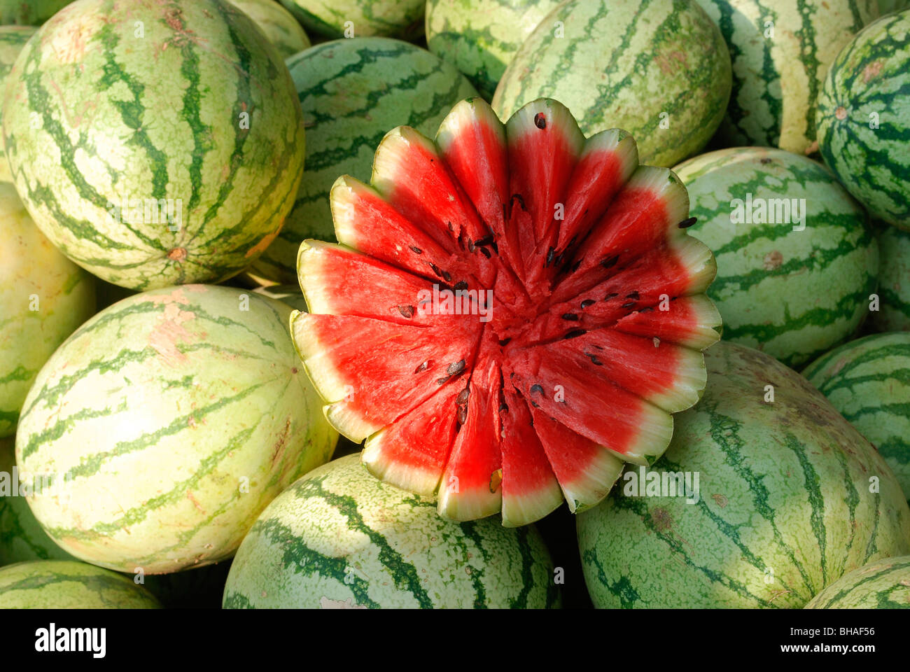 Melon de agua india fotografías e imágenes de alta resolución - Alamy