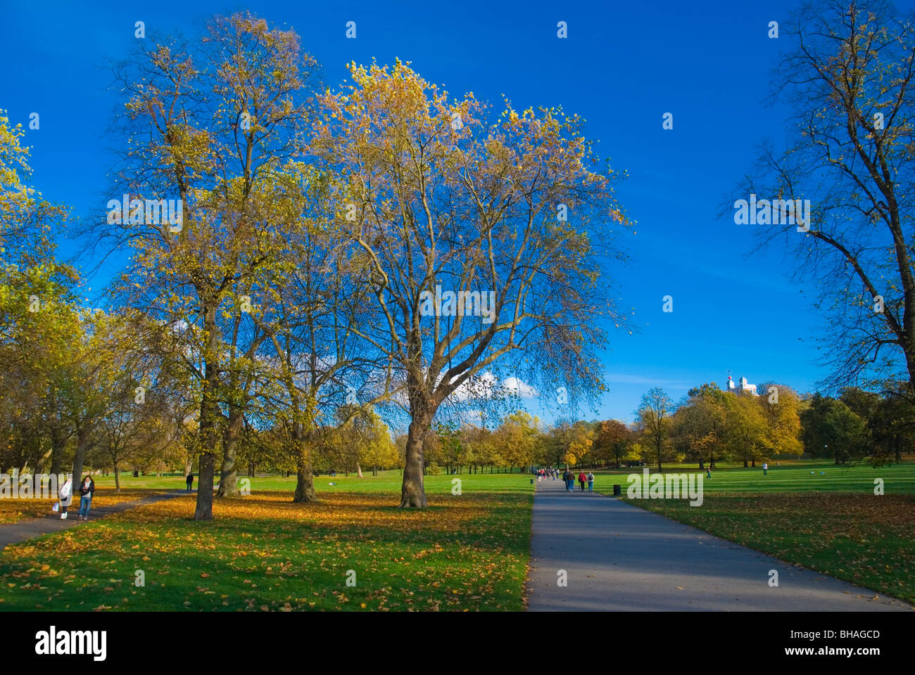 En otoño el Parque Greenwich Greenwich al sureste de Londres Inglaterra Europa Foto de stock