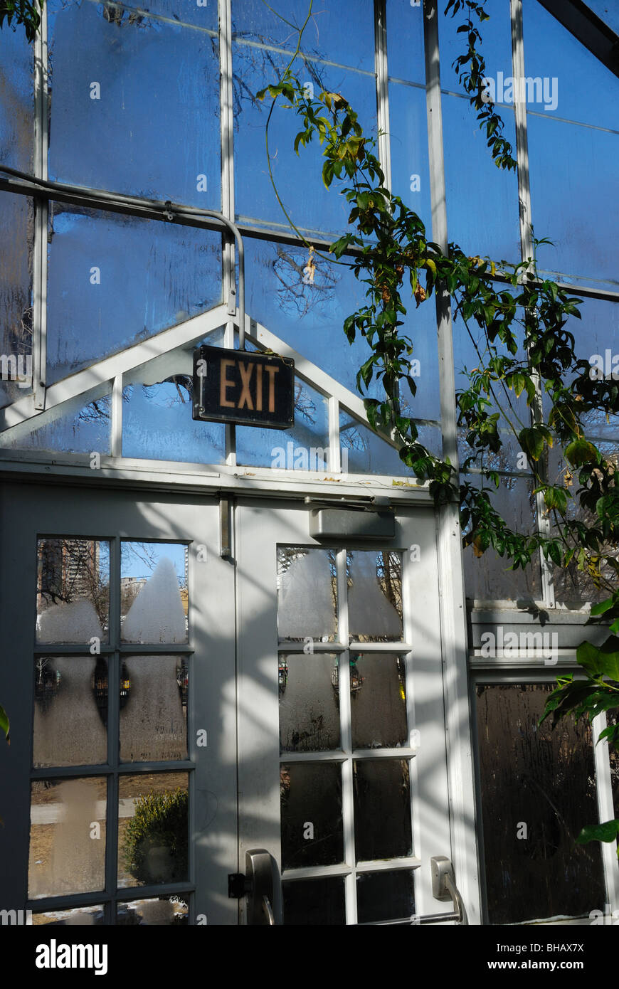 La salida del Allen Gardens Conservatory en Toronto Foto de stock