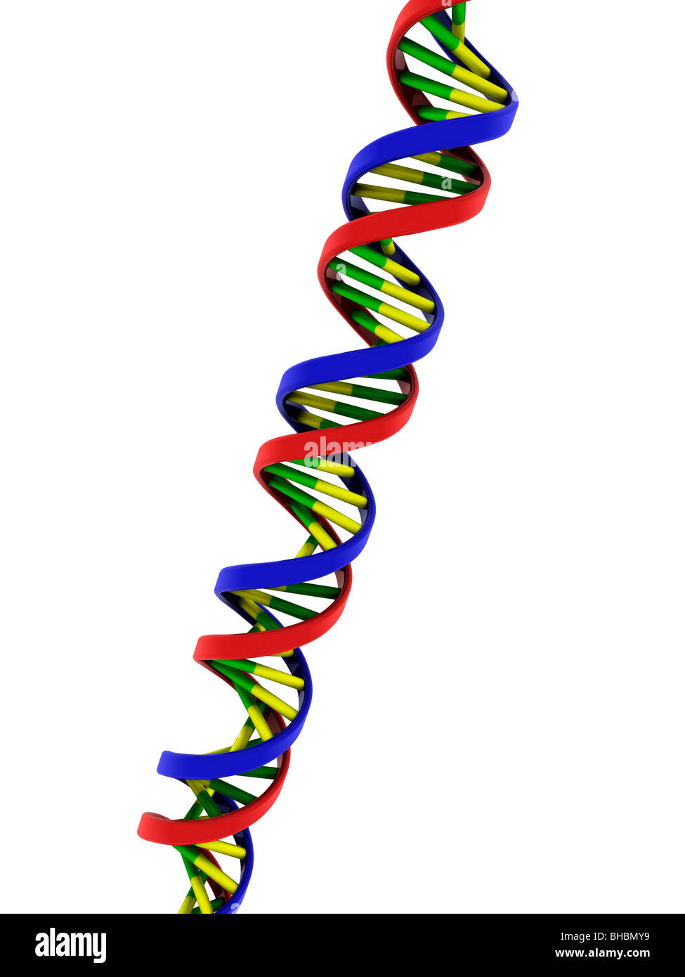 Modelo de doble hélice del ADN Foto de stock
