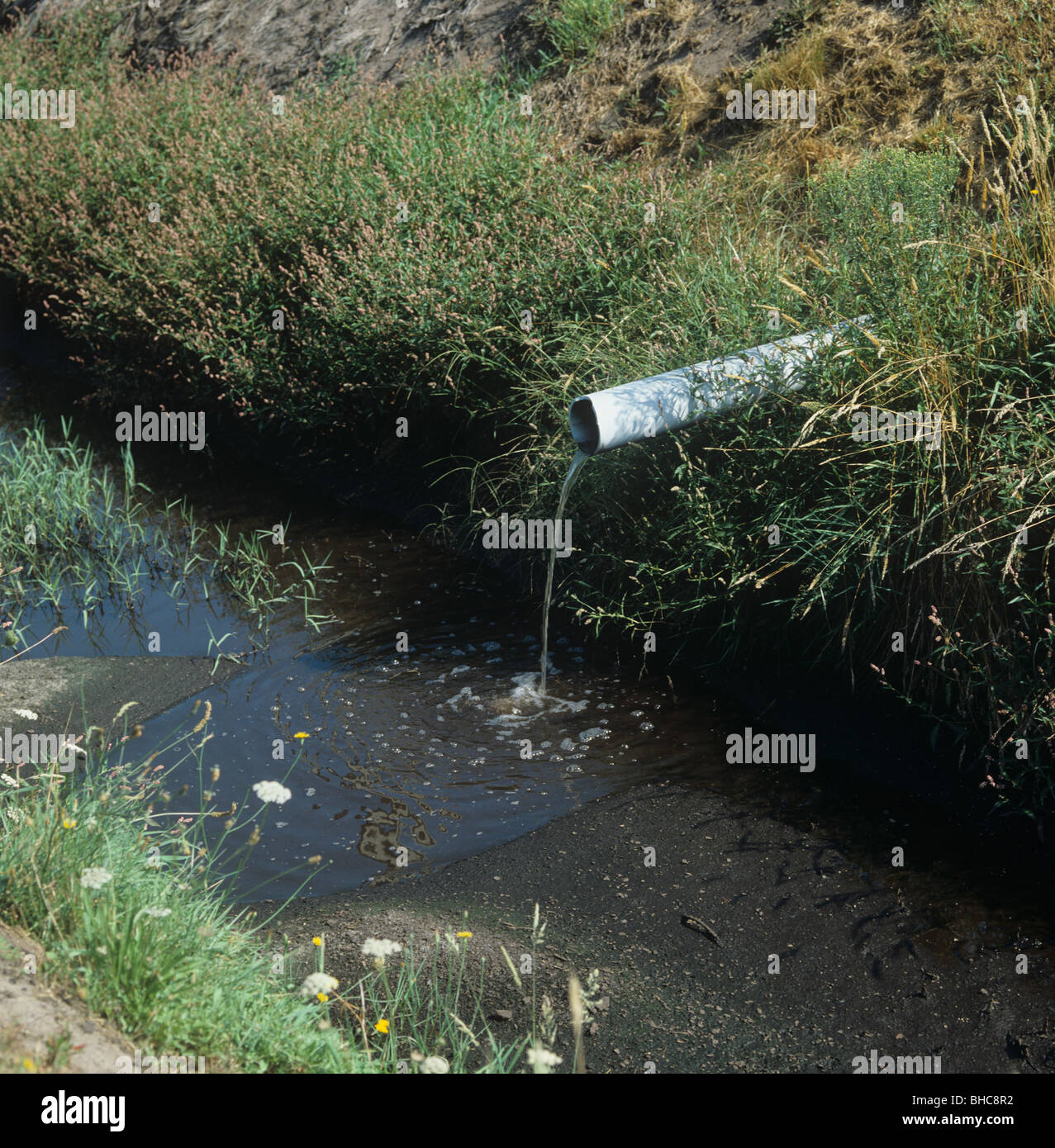 Salida de desagüe en curso de agua desde las tierras de cultivo con riego, una fuente de contaminación del agua Foto de stock