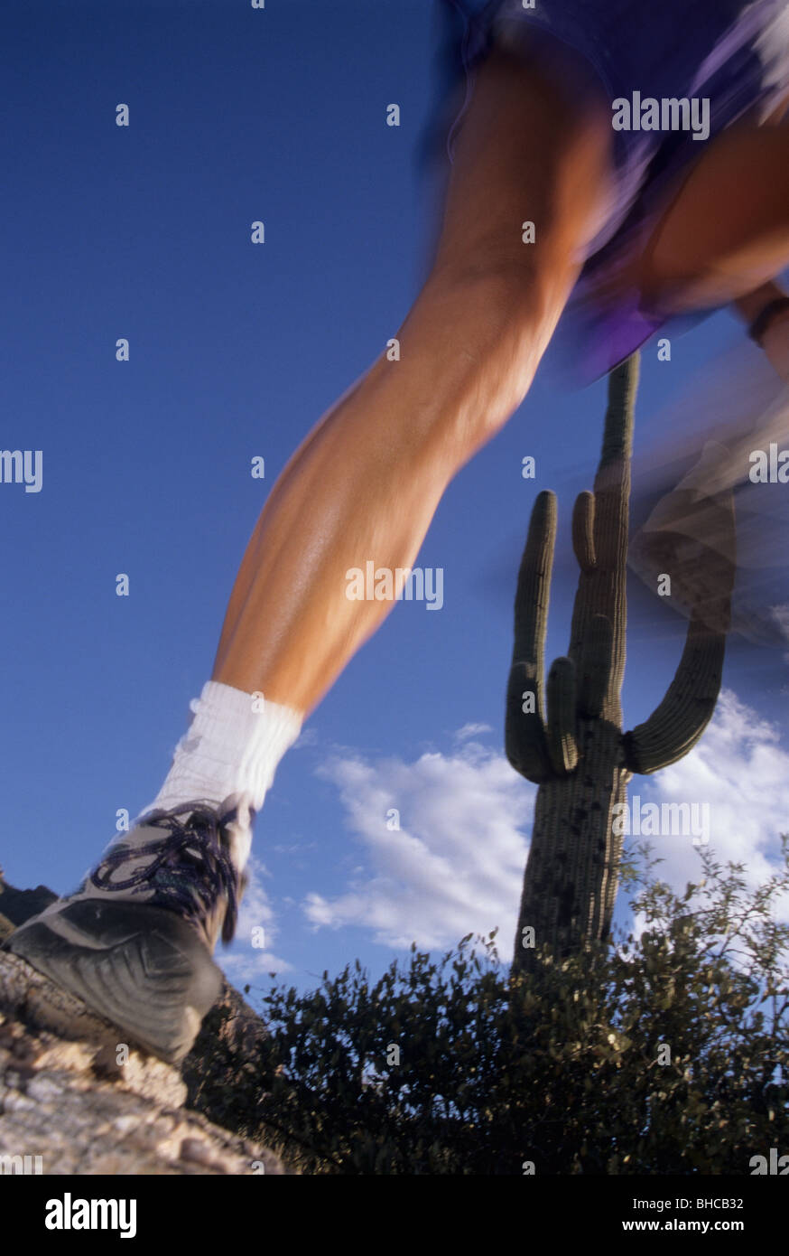 Pam Reed entrenamiento en Tucson. Foto de stock