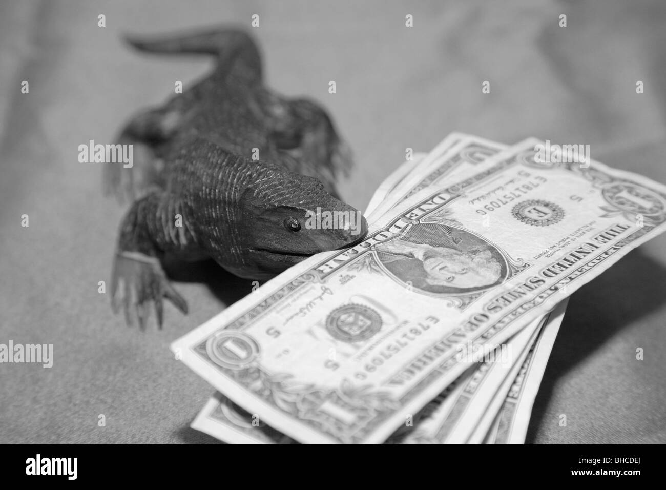 Recuerdo lagarto dragón de Komodo Madera tallada mordiendo billetes de dólares billetes de moneda en su boca Foto de stock