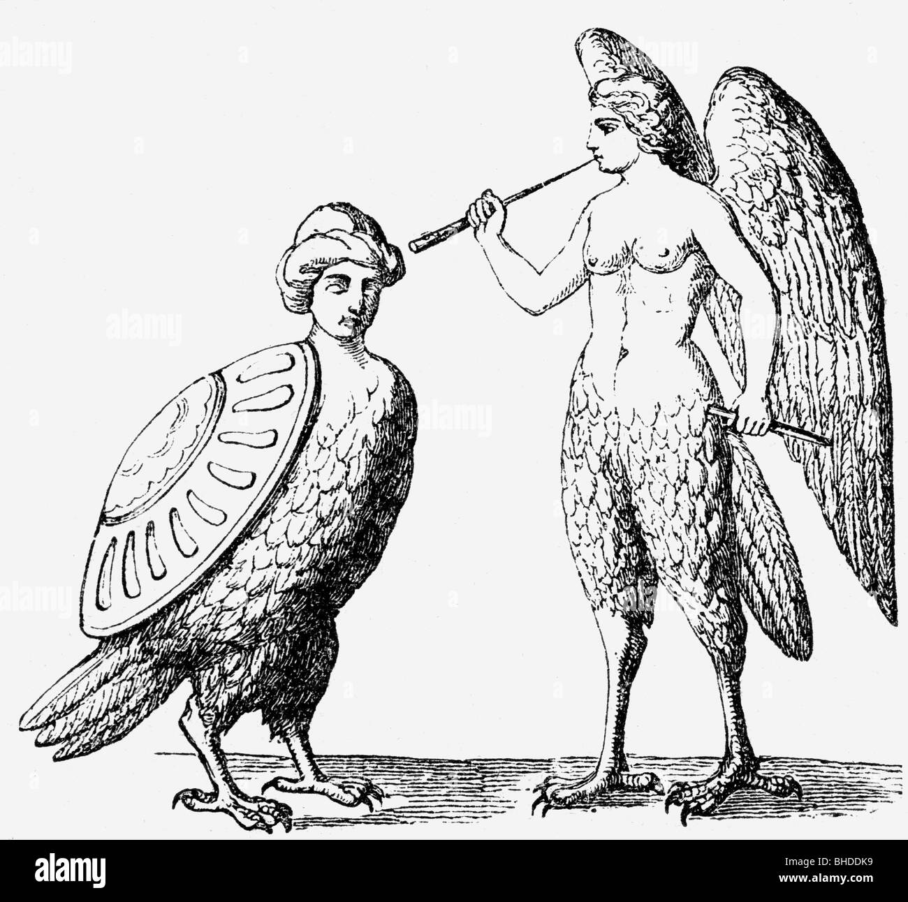 Amapolas, criaturas míticas griegas (media mujer, medio pájaro), grabado de madera, siglo 19, Foto de stock
