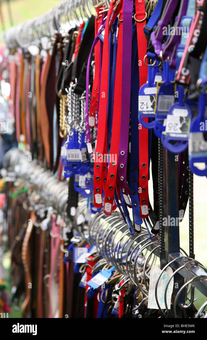 Perro conduce o Correas y collares en venta en Chatsworth, Country Fair, Chatsworth House, Derbyshire, Inglaterra, Reino Unido. Foto de stock