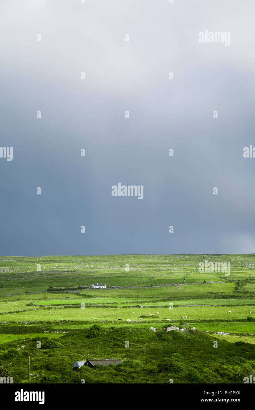 Las tierras de pastoreo en la ladera de una colina, en el condado de Clare, Irlanda. Foto de stock