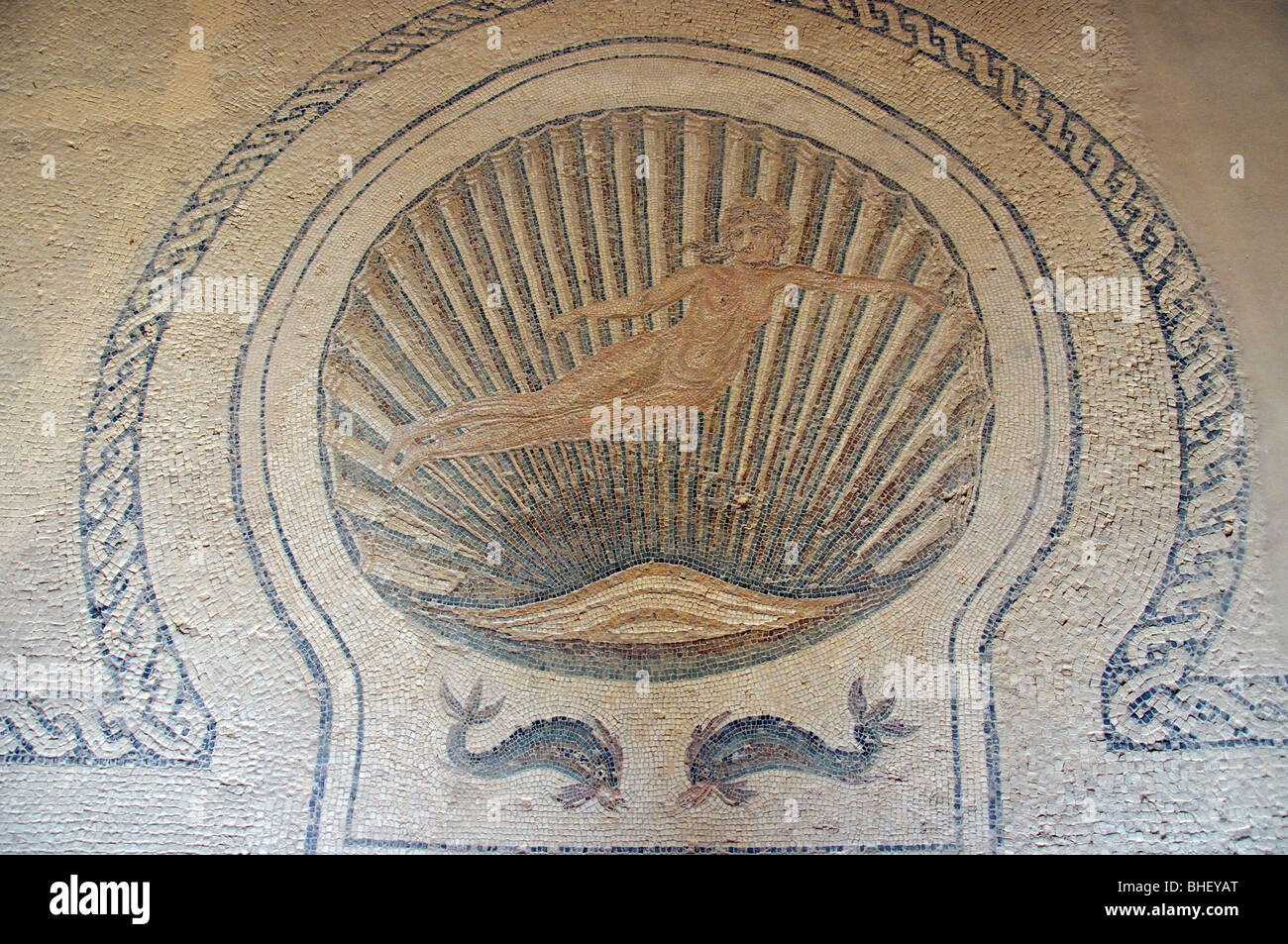"Nacimiento de Venus" de Mosaic, el Africa House, el Museo Arqueológico, El Djem El Djem, Gobernación de Mahdia, Túnez Foto de stock