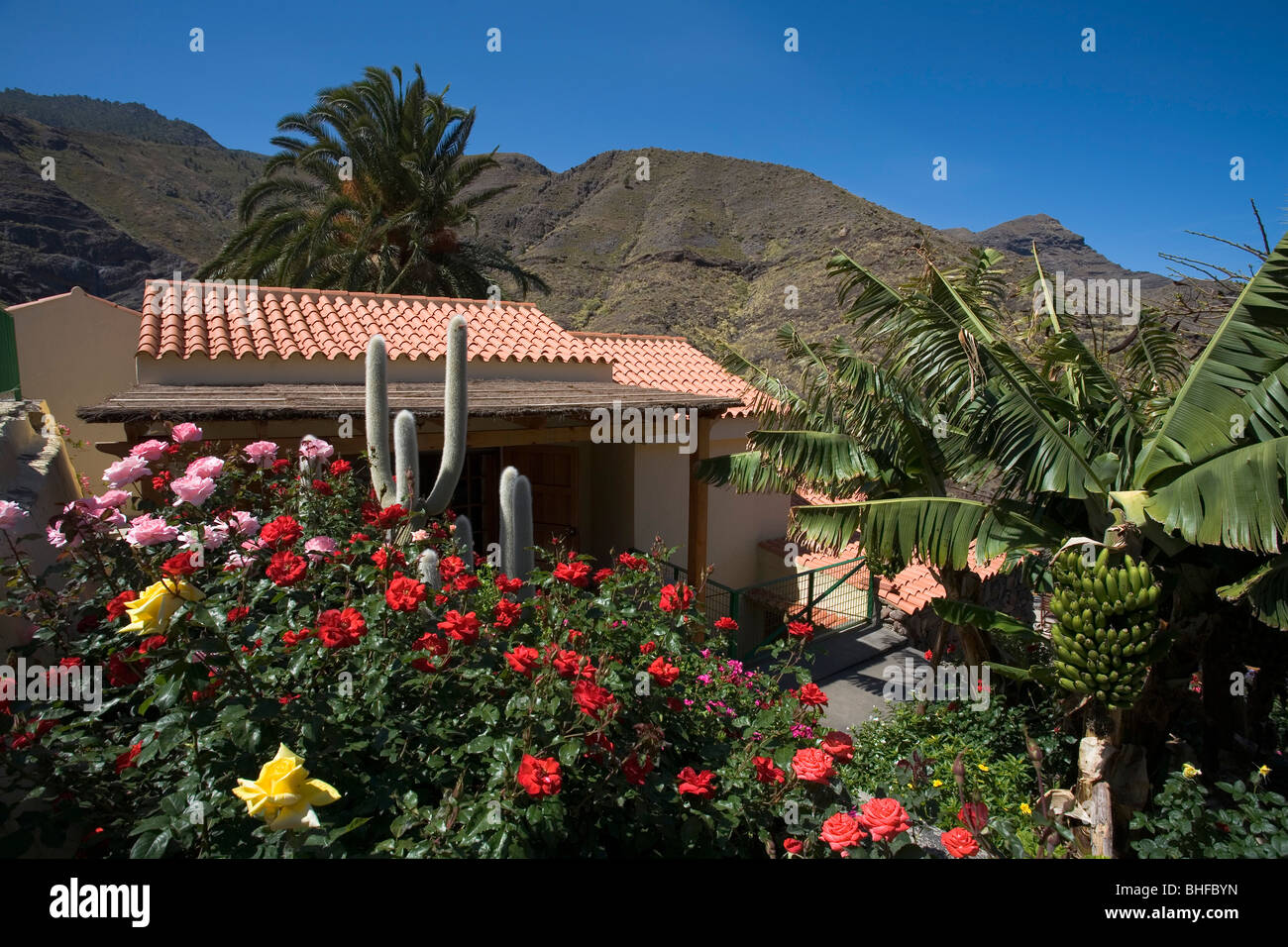 Y Arancel Coronel Casa de Vacaciones Las Rosas en medio de palmeras y flores, el valle de El Risco, Parque Natural de Tamadaba, Gran Canaria, Islas Canarias Islan Fotografía de stock - Alamy Y Arancel Coronel Casa de Vacaciones Las Rosas en medio de palmeras y flores, el valle de El Risco, Parque Natural de Tamadaba, Gran Canaria, Islas Canarias Islan Fotografía de stock - Alamy