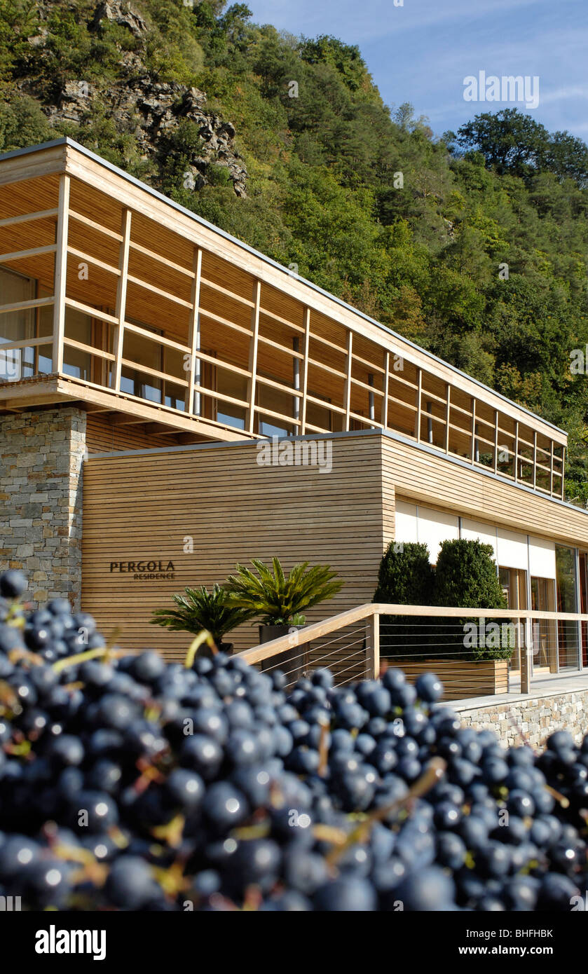 Uvas en frente del hotel de diseño en la Pérgola de la residencia en el sol, Merano, Val Venosta, Tirol del Sur, Italia, Europa Foto de stock