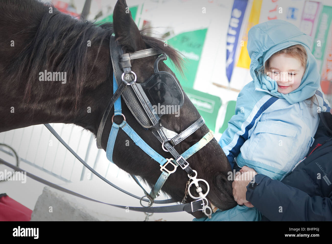 Una chica joven mascotas un caballo en el carnaval de invierno de Quebec (Carnaval de Quebec) en la ciudad de Quebec Foto de stock