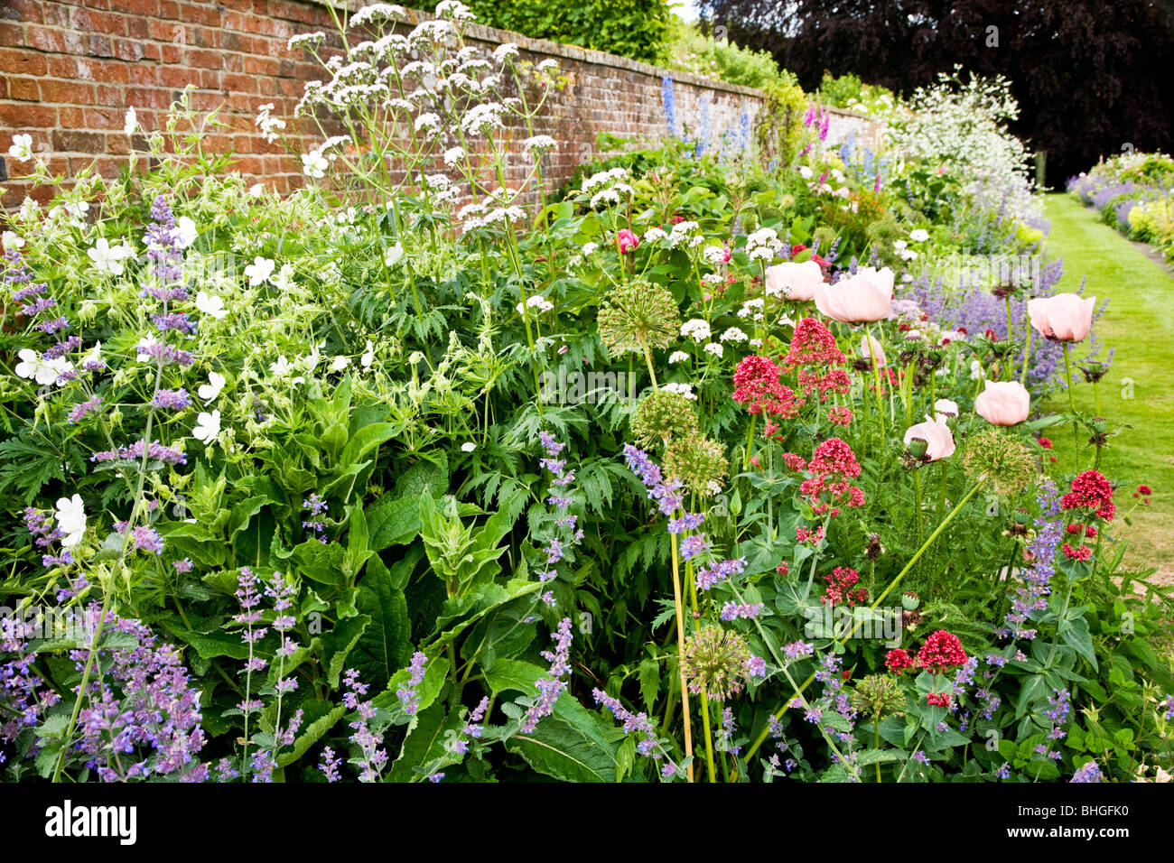 Borde de flores perennes herbáceas en un jardín campestre inglés Foto de stock
