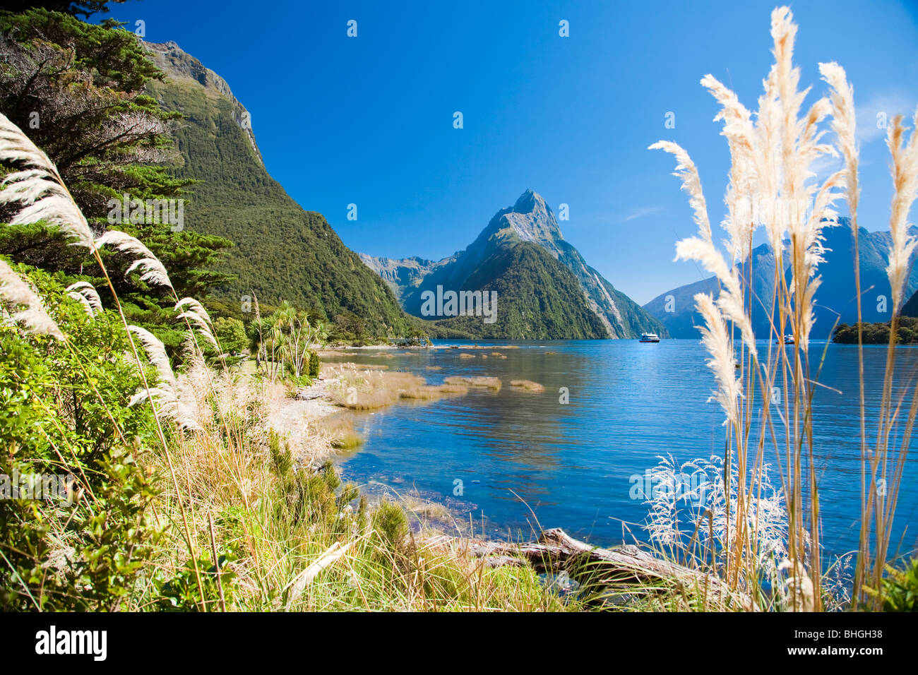 Cordillera con lago y plantas, Mitre Peak, Milford Sound, Isla del Sur, Nueva Zelanda Foto de stock