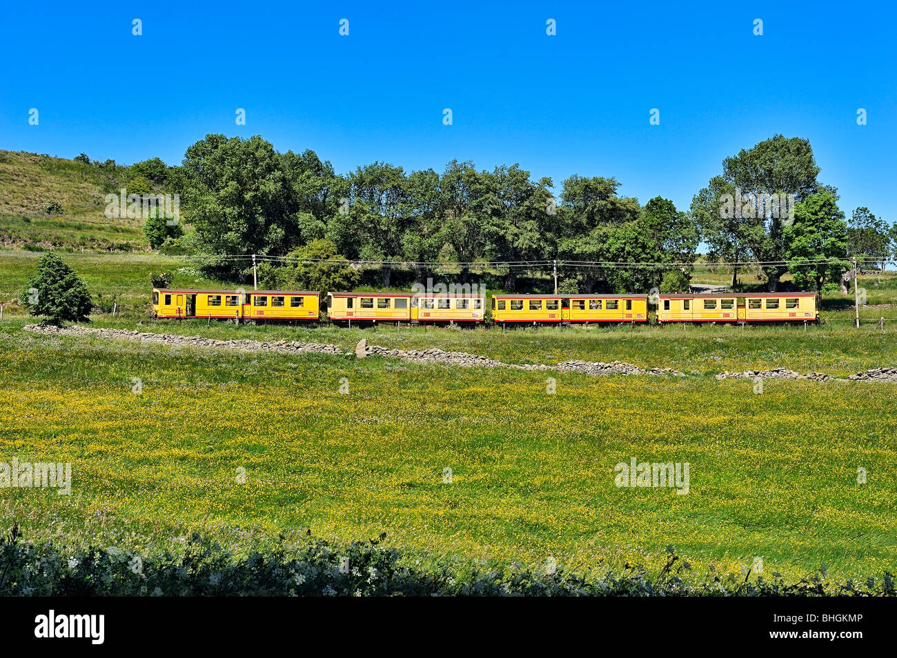 Train Jaune en Pyreneans montañas, Languedoc Roussillon, Francia. Foto de stock