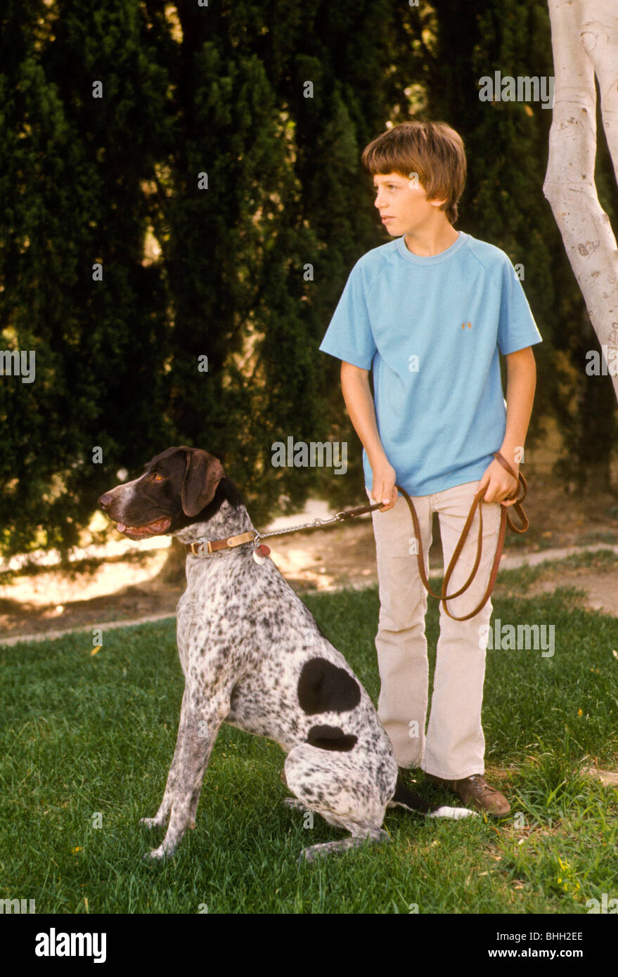 Boy teen macho perro mascota setter correa se comportan graves enseñan la  escuela de tren Fotografía de stock - Alamy