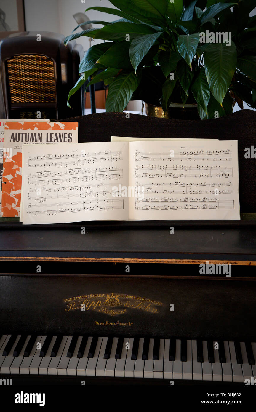 Música en el piano preparado para jugar, planta verde y 40's radio  baquelita en segundo plano Fotografía de stock - Alamy