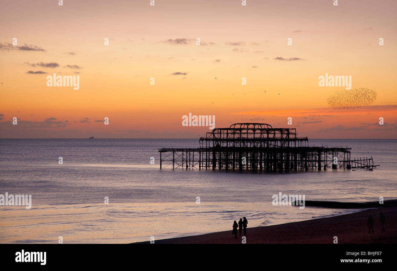 Puesta de sol con una Bandada de estorninos posados, Brighton West Pier abandonada 2010 Foto de stock